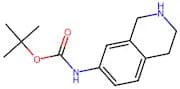 (1,2,3,4-Tetrahydro-isoquinolin-7-yl)-carbamic acid tert-butyl ester