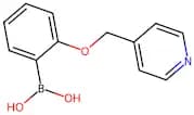 2-(Pyridin-4-ylmethoxy)phenylboronic acid