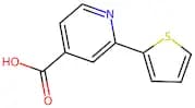 2-Thien-2-ylisonicotinic acid
