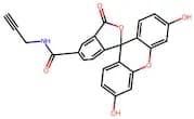 5-FAM-Alkyne