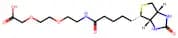 Biotinyl-8-amino-3, 6-dioxaoctanoic acid