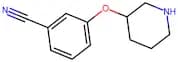 3-(Piperidin-3-yloxy)benzonitrile