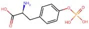 H-Tyr(H2PO3)-OH