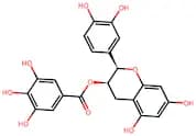 (-)-Epicatechin gallate