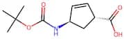 (1R,4R)-4-[(Tert-Butoxycarbonyl)Amino]Cyclopent-2-Ene-1-Carboxylic Acid