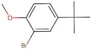 2-Bromo-4-t-Butylanisole