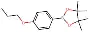 4,4,5,5-Tetramethyl-2-(4-Propoxyphenyl)-1,3,2-Dioxaborolane