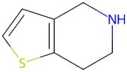 4,5,6,7-Tetrahydrothieno[3,2-C]Pyridine