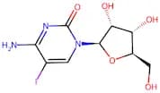 5-Iodo-Cytidine