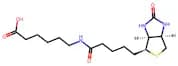 6-Biotinamidohexanoic Acid