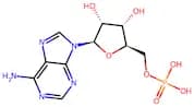 Adenosine-5-Monophosphoric Acid