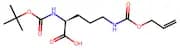 Boc-Orn(Aloc)-OH