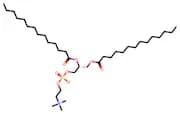 Dimyristoylphosphatidylcholine