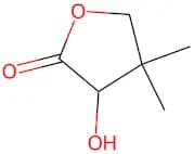 DL-α-Hydroxy-β,β-Dimethyl-γ-Butyrolactone