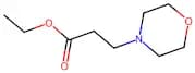 Ethyl 3-(Morpholino)Propionate