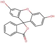 Fluorescein
