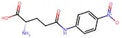γ-L-Glutamyl-4-Nitroanilide