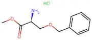 H-Ser(Bzl)-Ome.Hcl