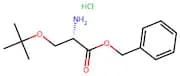 H-Ser(tBu)-OBzl.HCl