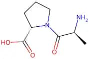L-Alanyl-L-Proline