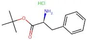 L-Phenylalnine T-Butyl Ester Hydrochloride