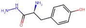 L-Tyrosine Hydrazide