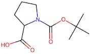 N-Boc-Dl-Proline