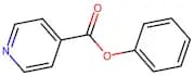 Phenyl Isonicotinate