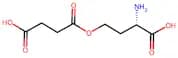 O-Succinyl-L-Homoserine