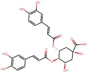 Isochlorogenic acid B
