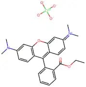 Tetramethylrhodamine Ethyl Ester Perchlorate