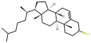 Thiocholesterol