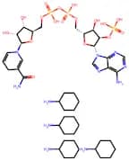 NADPH (Tetracyclohexanamine)