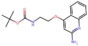 Tert-Butyl (2-((2-Aminoquinolin-4-Yl)Oxy)Ethyl)Carbamate