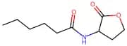 N-Hexanoyl-DL-homoserine lactone