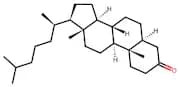 5α-Cholestan-3-One
