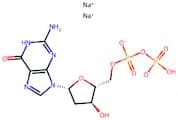 2'-Deoxyguanosine-5'-Diphosphate Disodium Salt