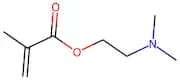 Poly(2-(Dimethylamino)Ethyl Methacrylate)