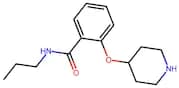 2-(PIPERIDIN-4-YLOXY)-N-PROPYL-BENZAMIDE