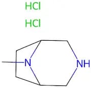 8-Methyl-3,8-Diazabicyclo[3.2.1]Octane Dihydrochloride