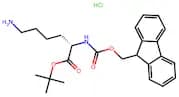 (S)-Tert-Butyl 2-((((9H-Fluoren-9-Yl)Methoxy)Carbonyl)Amino)-6-Aminohexanoate Hydrochloride