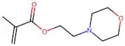2-Morpholinoethyl Methacrylate