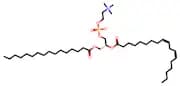 L-α-Phosphatidylcholine