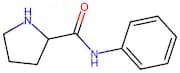L-Prolinanilide
