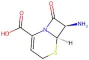 7-Amino-3-Cephem-4-Carboxylic Acid