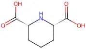 Cis-Piperidine-2,6-Dicarboxylic Acid