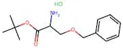 Tert-Butyl O-Benzyl-L-Serinate Hydrochloride