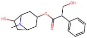 6-Hydroxy-8-Methyl-8-Azabicyclo[3.2.1]Octan-3-Yl 3-Hydroxy-2-Phenylpropanoate