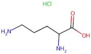 DL-Ornithine Hydrochloride