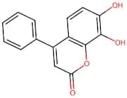 7,8-Dihydroxy-4-Phenyl-2H-Chromen-2-One